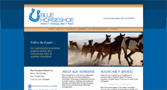 Desktop Screenshot of bluehorseshoe-hit.com